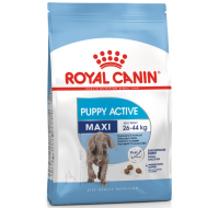 Maxi Puppy Active Royal Canin